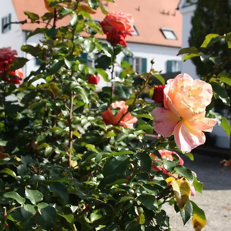 Hotel Gasthaus Wangerhof-2